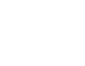 Dancing Play logo